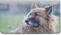 Belgian Sheepdogs