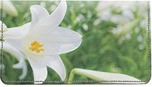 Easter Lilies