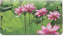 Water Lilies
