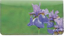 Blue Bearded Iris