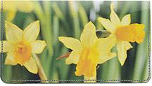 Yellow Daffodils