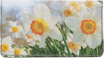 White Daffodils
