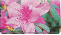 Rhododendron