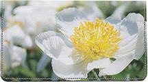 White Peonies