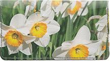 Narcissus