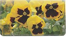 Yellow Pansies
