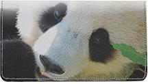 Pandas