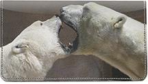 Polar Bears