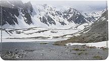 Snowy Mountains