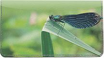 Dragonflies