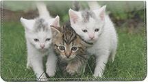 Cute Kittens