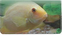 Tropical Fish