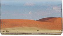 Desert Landscapes