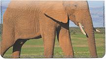 Elephants