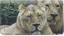 Lions