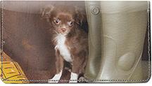 Chihuahuas