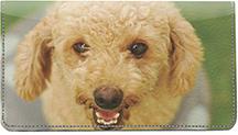 Poodles