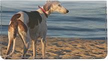 Greyhounds