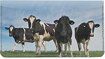 Cows