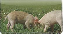 Pigs
