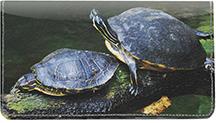 Turtles