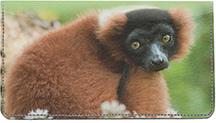 Primates