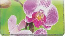 Orchids