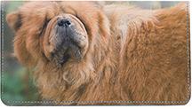 Chow Chow