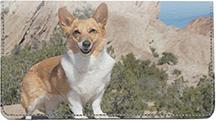 Corgis