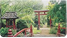 Japanese Culture