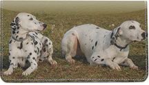 Dalmatians