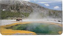 National Parks I