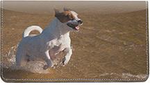 Jack Russells
