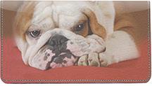 English Bulldogs