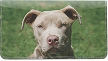 Pit Bulls