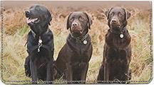Labrador Fun
