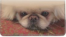 Pekingese