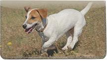 Smooth Fox Terriers