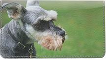 Miniature Schnauzers