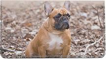 French Bulldogs