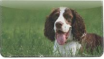 Springer Spaniels