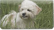 Havanese