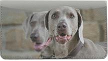 Weimaraners