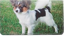 Papillons