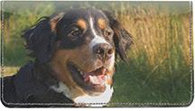 Bernese Mountain Dogs