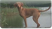 Vizslas
