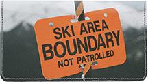 Skiing