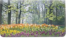 Spring Has Sprung