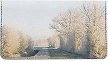 Winter Roads
