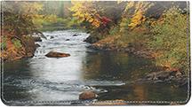 Rain Forest Rivers